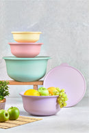 Pastel Colored Tupy Bowl with Lid Set of 4