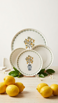 Farika 24 Piece Lemon Dinner Set for 6 People - Premium Dinner Set